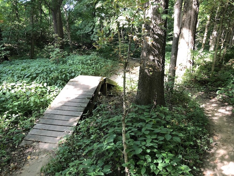 Town Run Trail Park in Indiana