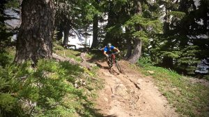Timberline to Rhododendron - Singletracks