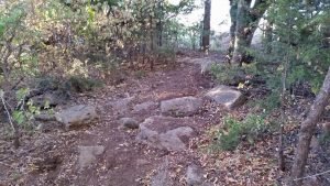 Lake Ponca Trails - Singletracks