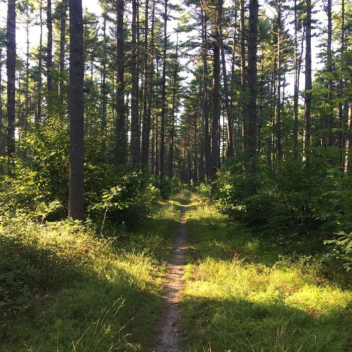 Groton Town Forest Trails - Groton Trails Network