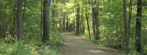 Pearl Hill State Park Trails - Mass.gov