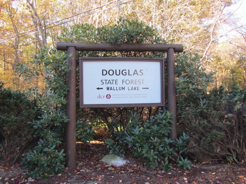Douglas State Forest Trail - Boston Kayaker