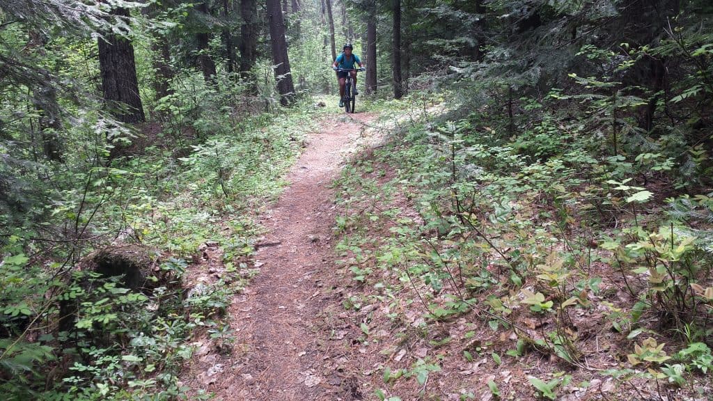The Woodrat Mountain Biking Trail