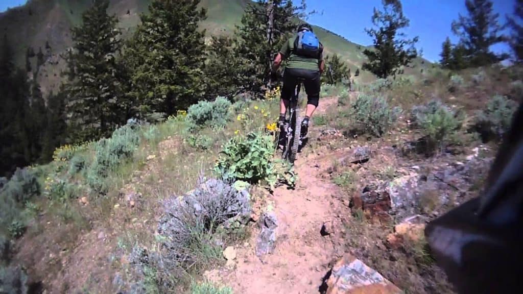 Wagonhammer Mountain Biking Trail System
