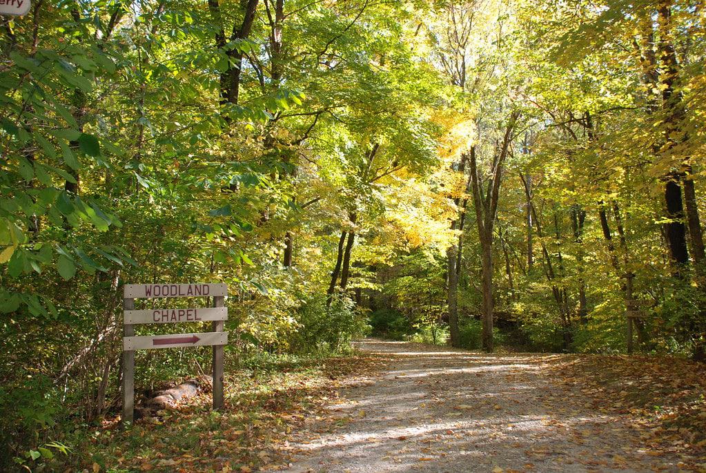 Hayes Arboretum Trail