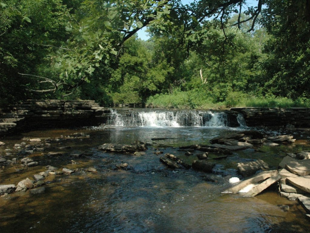 Waterfall Glen Trail 