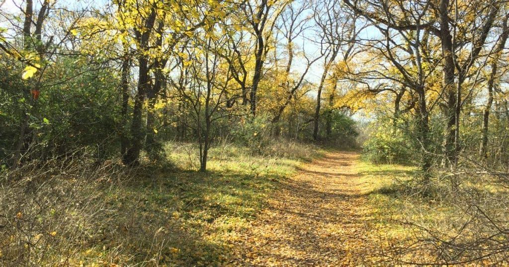 Arbor Hills Trail