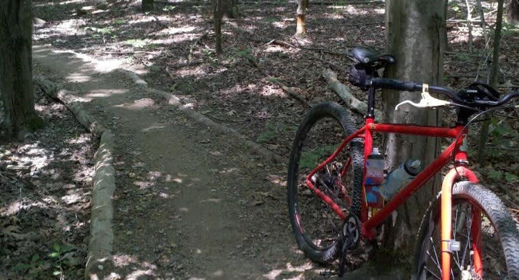 Royal View Single Track