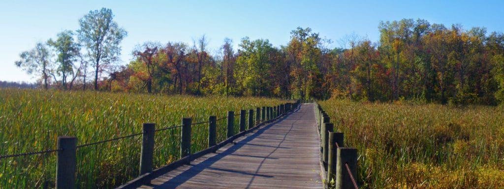 Mount Vernon Trail