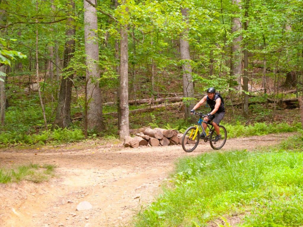 Lake Fairfax Park