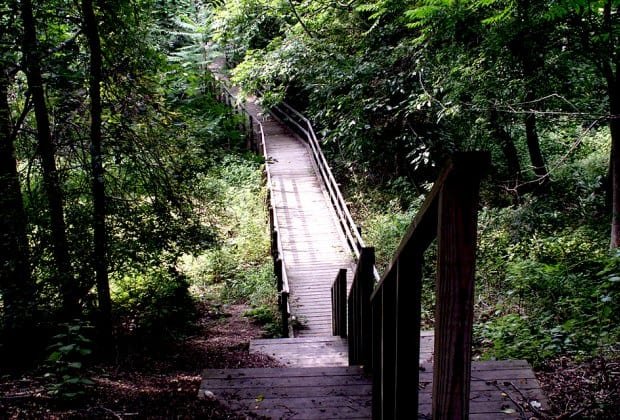 Allaire State Park