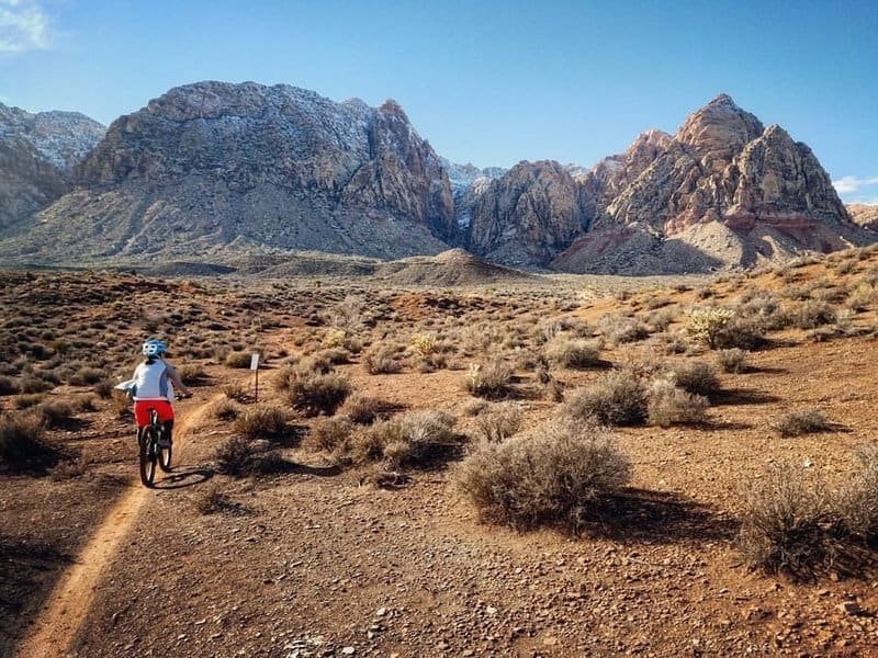 Blue Diamond Loop Trail - caren villaroman