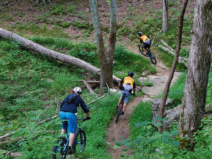 Brier Creek Trail Kentucky