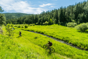 Centennial Mountain Biking Trail - Western Spirit Cycling