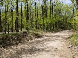 Coopers Gap Road Trail - Trails Offroad