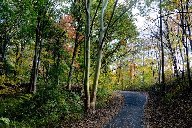 Cunningham Park
