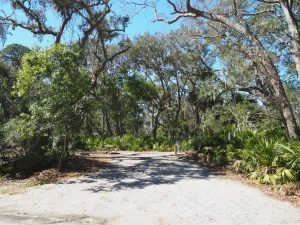 Hunting Island State Park - South Carolina Lowcountry