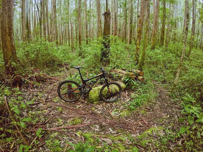 Kulani Trail