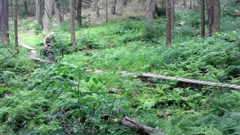 Rothrock State Forest (State College) - MTB Project
