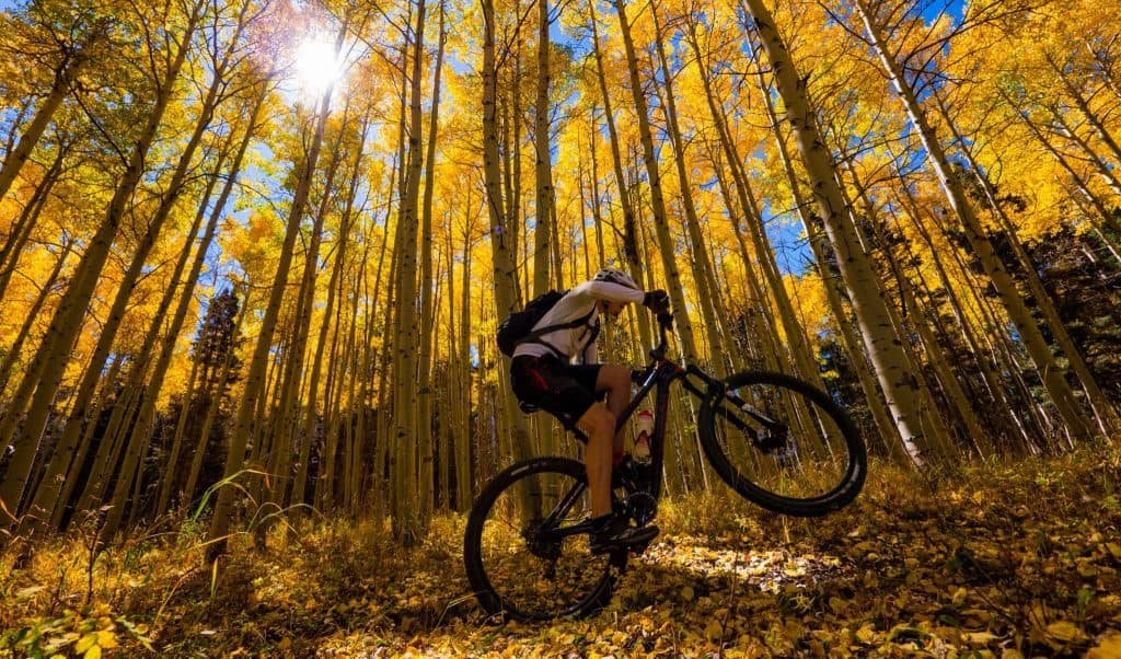 South Boundary Trail