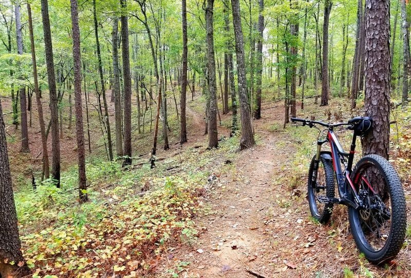 Sylaward Biking Trail