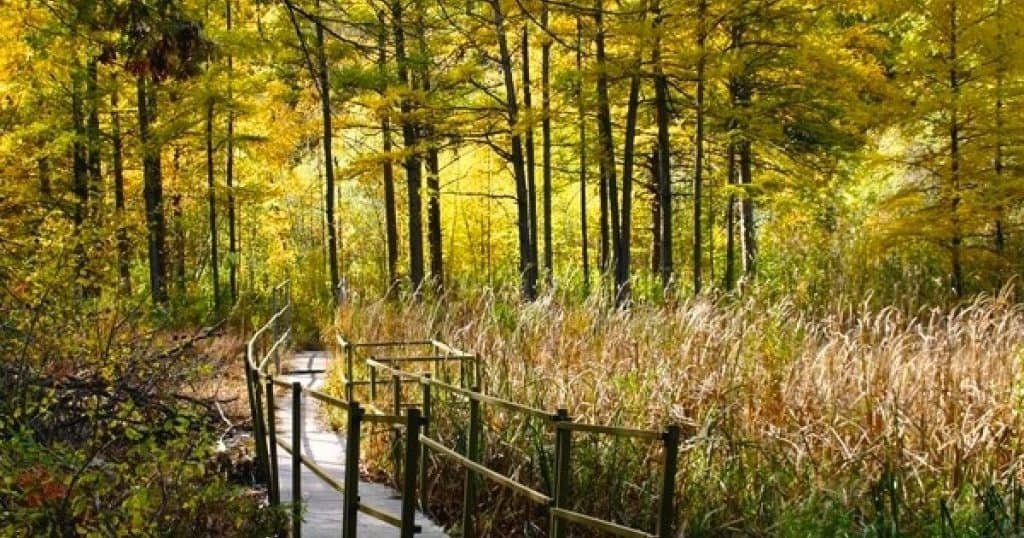 Theodore Wirth Regional Park